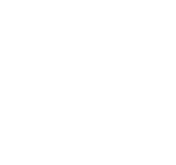 DBServices Logo